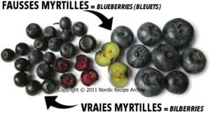 anciennes myrtilles versus nouvelles myrtilles